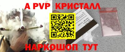 дживик Можга