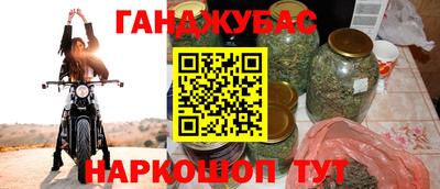 дживик Можга