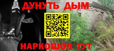дживик Можга