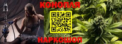 дживик Можга