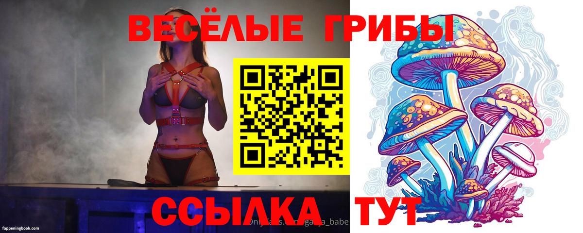 Галлюциногенные грибы прущие грибы  купить  цена  Горно-Алтайск  Вход с VPN 