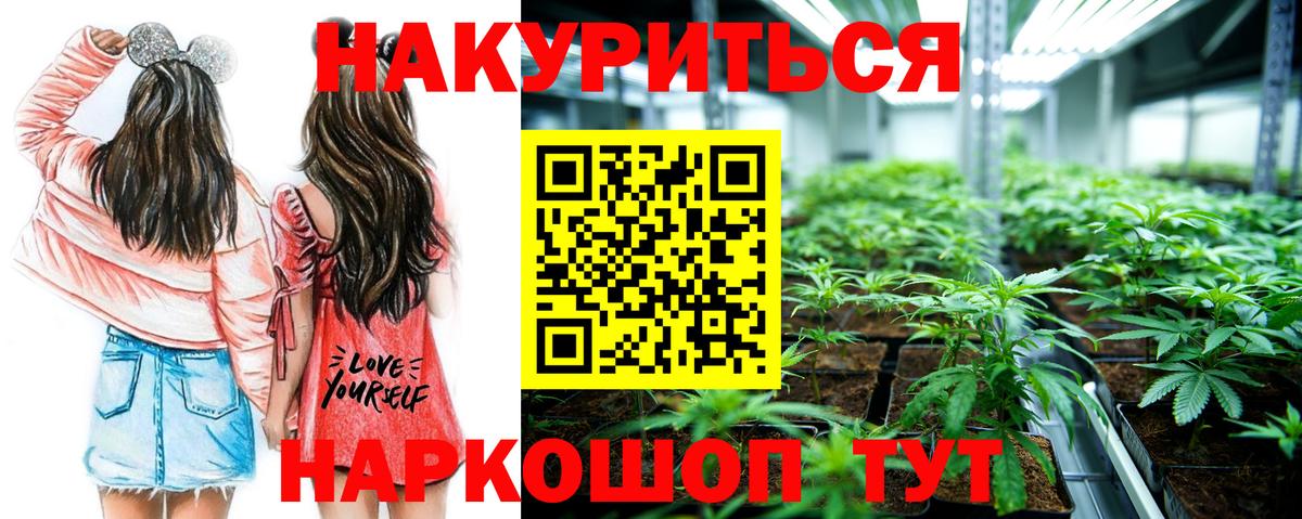 Горно-Алтайск  Конопля AK-47  Каннабис план  Вход с VPN  Марихуана конопля 